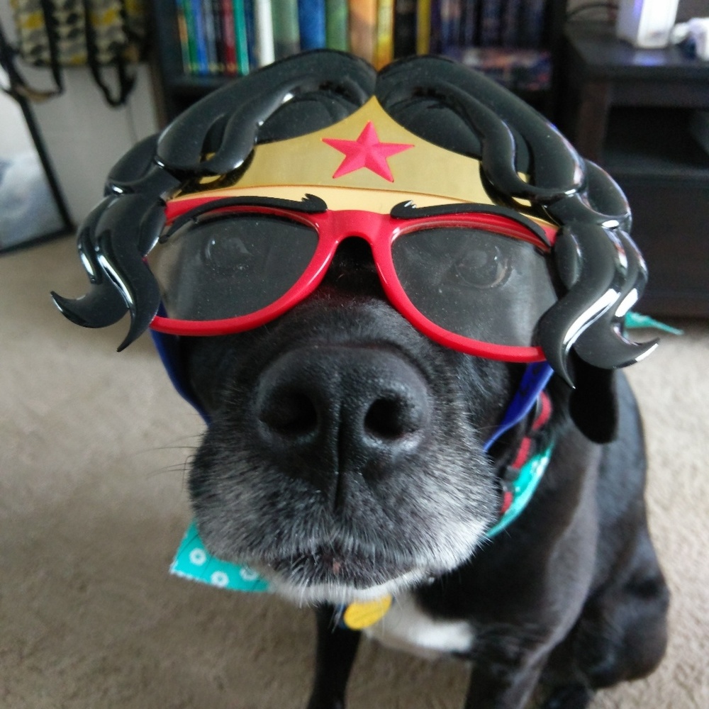 Meet your Posher, Elizabeth